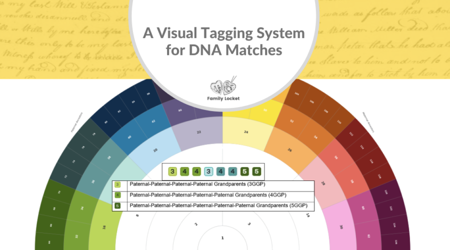 A Visual Tagging System for DNA Matches